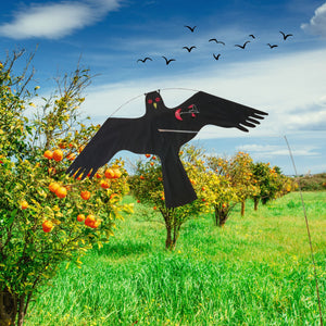 PESTEZE® Black Flying Hawk 46 x 26 Inch Kite Bird Deterrent with 13 ft Flagpole. Use in Yards & Farms to Protect Vegetables, Fruits, Crops & Property from Pest Birds & Critters without Harming them