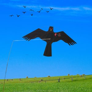 PESTEZE® Black Flying Hawk 46 x 26 Inch Kite Bird Deterrent with 13 ft Flagpole. Use in Yards & Farms to Protect Vegetables, Fruits, Crops & Property from Pest Birds & Critters without Harming them