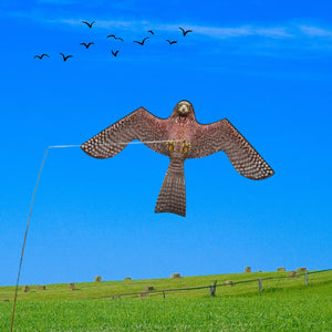 PESTEZE® Flying Hawk 46 x 26 Inch Kite Bird Scarer with 13 ft Flagpole. Use in Yards & Farms to Protect Vegetables, Fruits, Crops & Buildings from Pest Birds & Critters without Harming them