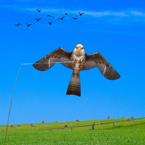 PESTEZE® Flying Eagle 46 x 26 Inch Kite Bird Deterrent with 13 ft Flagpole. Use in Yards & Farms to Protect Vegetables, Fruits & Crops from Pest Birds & Critters without Harming them