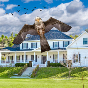 PESTEZE® Flying Eagle 46 x 26 Inch Kite Bird Deterrent with 13 ft Flagpole. Use in Yards & Farms to Protect Vegetables, Fruits & Crops from Pest Birds & Critters without Harming them