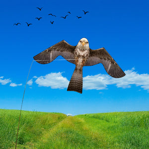 PESTEZE® Flying Eagle 46 x 26 Inch Kite Bird Deterrent with 13 ft Flagpole. Use in Yards & Farms to Protect Vegetables, Fruits & Crops from Pest Birds & Critters without Harming them