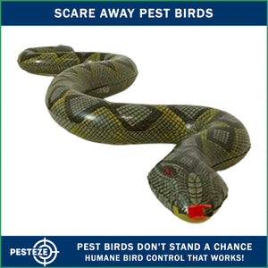 PESTEZE® USA Green 39 Inch Realistic Inflatable Snakes [1 Pack] Deters Pest Birds like Woodpeckers, Sparrows, Pigeons, Crows, Gulls & Critters from Pools & Yards without Harming them to Protect Property