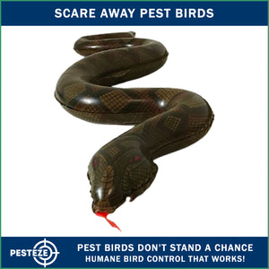 PESTEZE® USA Inflatible Snake [1 PACK Curly Yellow-Green] Predators Pest Birds  like Woodpeckers, Sparrows, Pigeons, Crows, Gulls & Critters from Pools & Yards without Harming them to Protect Property