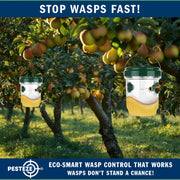PESTEZE® USA Reusable Solar Hanging Wasp Trap with LED Light [Green: 3.5 x 4.4 Inch] Attracts, & Kills Wasp, Hornet, Yellow Jacket & Insect Species 24/7 Without Harsh Chemicals– Waterproof Outdoor Trap