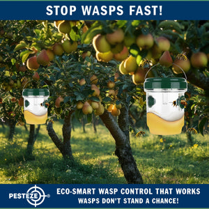 2 Pack PESTEZE® Reusable Solar Hanging Wasp Trap with LED Light [Green: 3.5 X 4.4 Inch] Attracts, Catches & Kills Wasp, Hornet, Yellow Jacket & Insect Species 24/7 without Harsh Chemicals. Waterproof