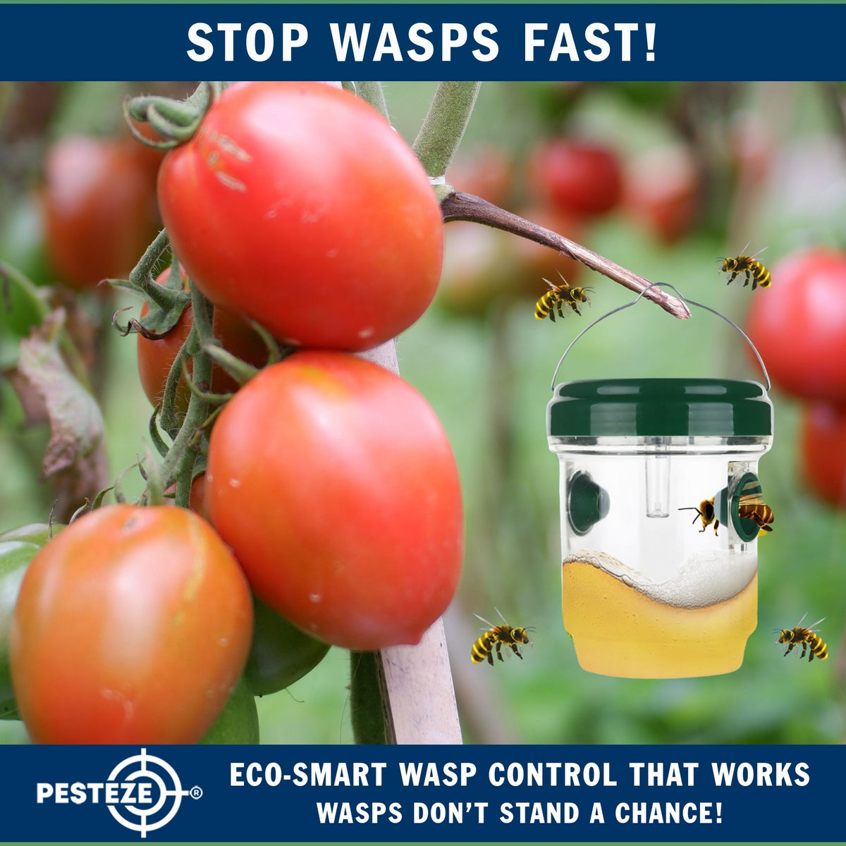 PESTEZE® USA Reusable Solar Hanging Wasp Trap with LED Light [Green: 3.5 x 4.4 Inch] Attracts, & Kills Wasp, Hornet, Yellow Jacket & Insect Species 24/7 Without Harsh Chemicals– Waterproof Outdoor Trap