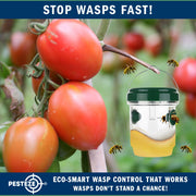 PESTEZE® USA Reusable Solar Hanging Wasp Trap with LED Light [Green: 3.5 x 4.4 Inch] Attracts, & Kills Wasp, Hornet, Yellow Jacket & Insect Species 24/7 Without Harsh Chemicals– Waterproof Outdoor Trap