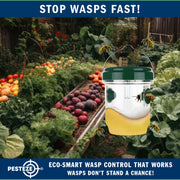 PESTEZE® USA Reusable Solar Hanging Wasp Trap with LED Light [Green: 3.5 x 4.4 Inch] Attracts, & Kills Wasp, Hornet, Yellow Jacket & Insect Species 24/7 Without Harsh Chemicals– Waterproof Outdoor Trap