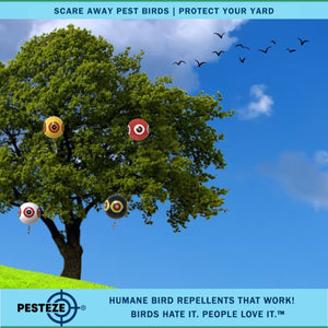 PESTEZE® Large 15" Yellow, Red, White & Black Bird Scare-Eye Balloon Deterrents [4 Pack Multi-Color] Repels Unwanted Pest Birds like Pigeons, Gulls, Geese & Critters from Pools & Yards Without Harming Them To Protect Property