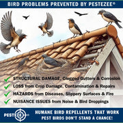 PESTEZE® USA Large 15" Red & White Bird Predator-Eye Balloon Repellents [2 Pack Multi-Color] Deters Unwanted Pest Birds like Ducks Pigeons, Gulls, Geese & Critters from Pools & Yards Without Harming them to Protect Property