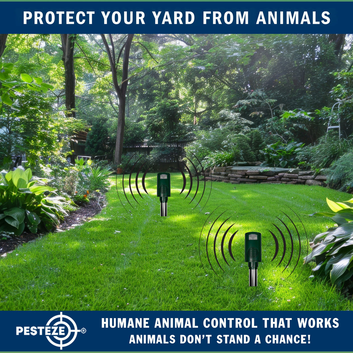 PESTEZE® Battery Bird Sound Repeller. Detects & Deters Pest Birds with Predator Sounds without Harming them to Protect Property. Use to Repel Woodpeckers, Pigeons, Crows, Ducks, Geese & Critters - Pesteze