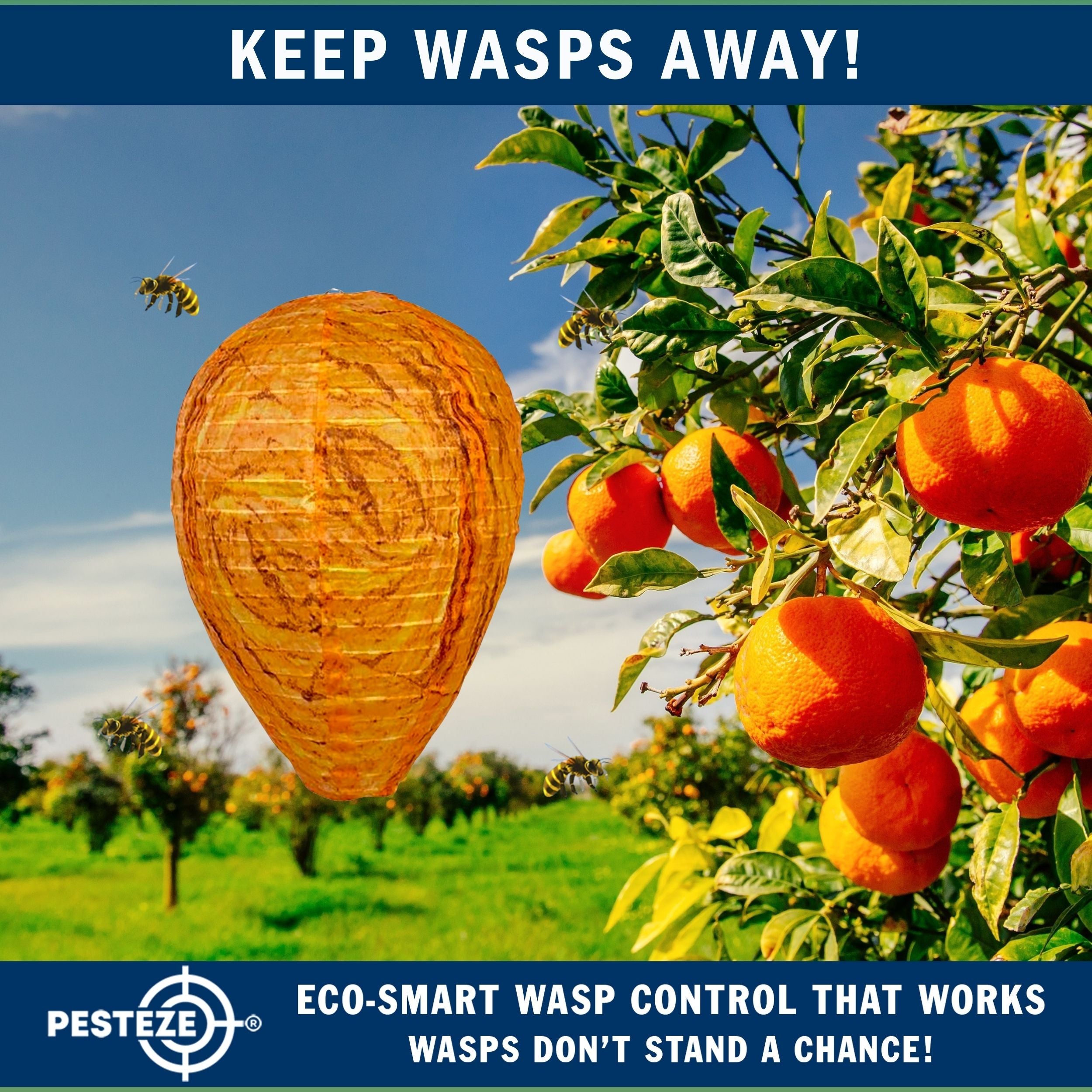 2 Pack PESTEZE® Cloth Waterproof Hanging Wasp Nest Decoy [11.8 x 8.6 Inch] Deters Several  Wasp, Hornet & Yellow Jacket Species by Simulating Enemy Hives.