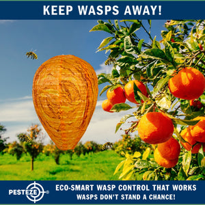 2 Pack PESTEZE® Cloth Waterproof Hanging Wasp Nest Decoy [11.8 x 8.6 Inch] Deters Several  Wasp, Hornet & Yellow Jacket Species by Simulating Enemy Hives.