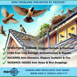 PESTEZE® Butterfly Stainless Steel Highly Reflective Decorative 3D Wind Spinner for Deterring Unwanted Birds & Critters. 7 Inch Premium Shiny, Beautiful, Long Lasting & Sturdy Bird Control.