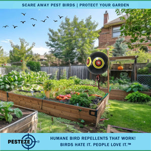 PESTEZE® Large 15" Black Bird Scare-Eye Balloon Decoy [1 Pack]  Deters Unwanted Pest Birds like Pigeons, Gulls, Geese & Critters from Pools & Yards Without Harming Them To Protect Property