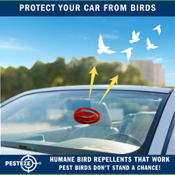 PESTEZE® Variety 27 Inch Realistic Rubber Snakes [5 Pack] Scares Pest Bids like Woodpeckers, Sparrows, Pigeons, Crows, Gulls & Critters without Harming them to Protect Property