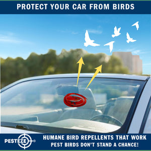 PESTEZE® Variety 27 Inch Realistic Rubber Snakes [5 Pack] Scares Pest Bids like Woodpeckers, Sparrows, Pigeons, Crows, Gulls & Critters without Harming them to Protect Property