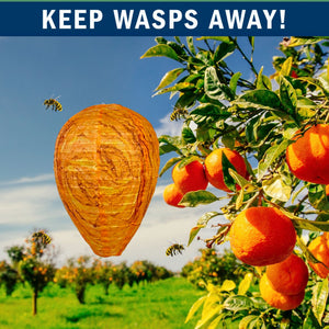 2 Pack PESTEZE® Cloth Waterproof Hanging Wasp Nest Decoy [11.8 x 8.6 Inch] Deters Several  Wasp, Hornet & Yellow Jacket Species by Simulating Enemy Hives.
