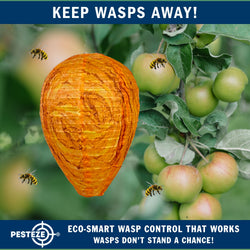 2 Pack PESTEZE® Cloth Waterproof Hanging Wasp Nest Decoy [11.8 x 8.6 Inch] Deters Several  Wasp, Hornet & Yellow Jacket Species by Simulating Enemy Hives.