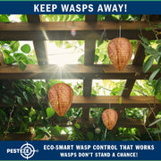PESTEZE® USA 2 Pack Hanging Wasp Nest Decoy [11.8 x 8.6 Inch]—Faux Wasp, Hornet and Yellow Jacket Deterrent for Outdoor Spaces. Simulated Rival Hives Help Prevent New Nests Without any Harsh Chemicals