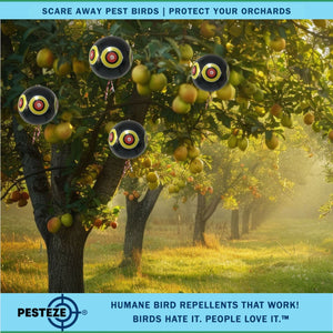 PESTEZE® Large 15" Black Bird Scare-Eye Balloon Decoy [1 Pack]  Deters Unwanted Pest Birds like Pigeons, Gulls, Geese & Critters from Pools & Yards Without Harming Them To Protect Property