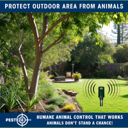 PESTEZE® Battery Bird Sound Repeller. Detects & Deters Pest Birds with Predator Sounds without Harming them to Protect Property. Use to Repel Woodpeckers, Pigeons, Crows, Ducks, Geese & Critters - Pesteze