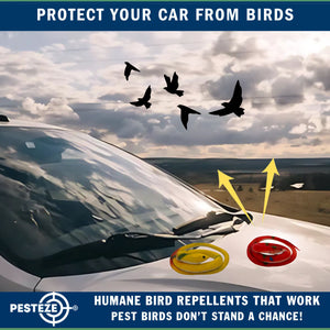 PESTEZE® Variety 27 Inch Realistic Rubber Snakes [5 Pack] Scares Pest Bids like Woodpeckers, Sparrows, Pigeons, Crows, Gulls & Critters without Harming them to Protect Property