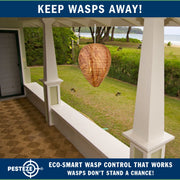 PESTEZE® USA 2 Pack Hanging Wasp Nest Decoy [11.8 x 8.6 Inch]—Faux Wasp, Hornet and Yellow Jacket Deterrent for Outdoor Spaces. Simulated Rival Hives Help Prevent New Nests Without any Harsh Chemicals