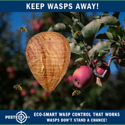 1 Pack PESTEZE® Hanging Wasp Nest Decoy [11.8 x 8.6 Inch] Deters Several  Wasp, Hornet & Yellow Jacket Species without Harsh Chemicals by Simulating Enemy Hives.