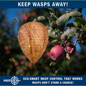 4 Pack PESTEZE® Hanging Wasp Nest Decoy [11.8 x 8.6 Inch] Deters Several  Wasp, Hornet & Yellow Jacket Species without Harsh Chemicals by Simulating Enemy Hives.