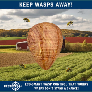 4 Pack PESTEZE® Hanging Wasp Nest Decoy [11.8 x 8.6 Inch] Deters Several  Wasp, Hornet & Yellow Jacket Species without Harsh Chemicals by Simulating Enemy Hives.