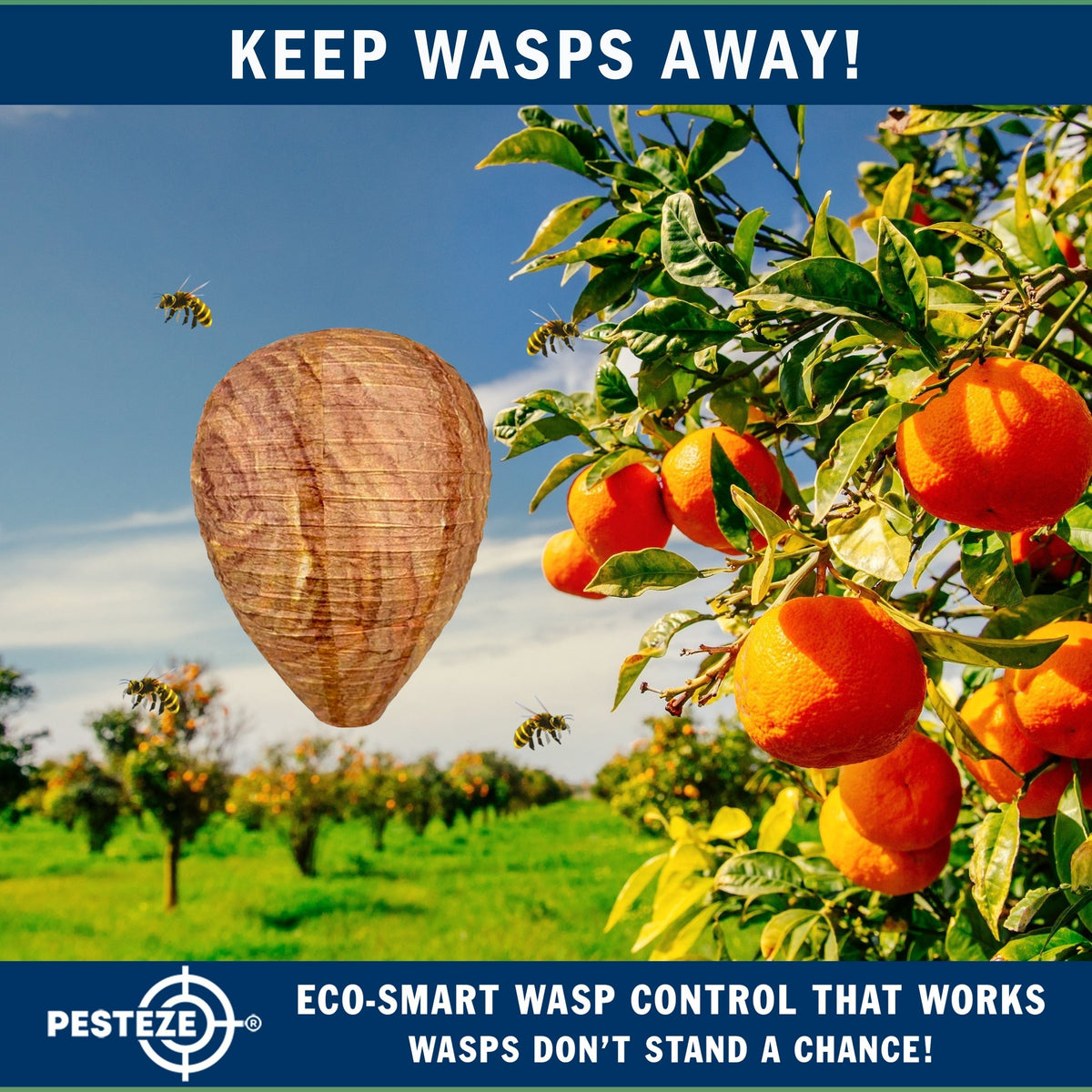 PESTEZE® USA 2 Pack Hanging Wasp Nest Decoy [11.8 x 8.6 Inch]—Faux Wasp, Hornet and Yellow Jacket Deterrent for Outdoor Spaces. Simulated Rival Hives Help Prevent New Nests Without any Harsh Chemicals