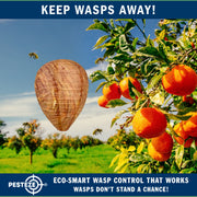 PESTEZE® USA 2 Pack Hanging Wasp Nest Decoy [11.8 x 8.6 Inch]—Faux Wasp, Hornet and Yellow Jacket Deterrent for Outdoor Spaces. Simulated Rival Hives Help Prevent New Nests Without any Harsh Chemicals