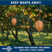 PESTEZE® USA 2 Pack Hanging Wasp Nest Decoy [11.8 x 8.6 Inch]—Faux Wasp, Hornet and Yellow Jacket Deterrent for Outdoor Spaces. Simulated Rival Hives Help Prevent New Nests Without any Harsh Chemicals