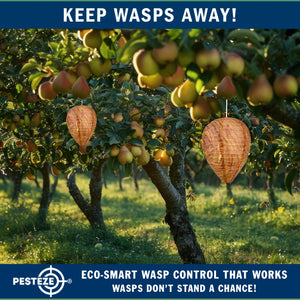 4 Pack PESTEZE® Hanging Wasp Nest Decoy [11.8 x 8.6 Inch] Deters Several  Wasp, Hornet & Yellow Jacket Species without Harsh Chemicals by Simulating Enemy Hives.