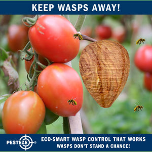 4 Pack PESTEZE® Hanging Wasp Nest Decoy [11.8 x 8.6 Inch] Deters Several  Wasp, Hornet & Yellow Jacket Species without Harsh Chemicals by Simulating Enemy Hives.