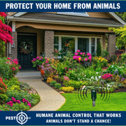 PESTEZE® Battery Bird Sound Repeller. Detects & Deters Pest Birds with Predator Sounds without Harming them to Protect Property. Use to Repel Woodpeckers, Pigeons, Crows, Ducks, Geese & Critters - Pesteze