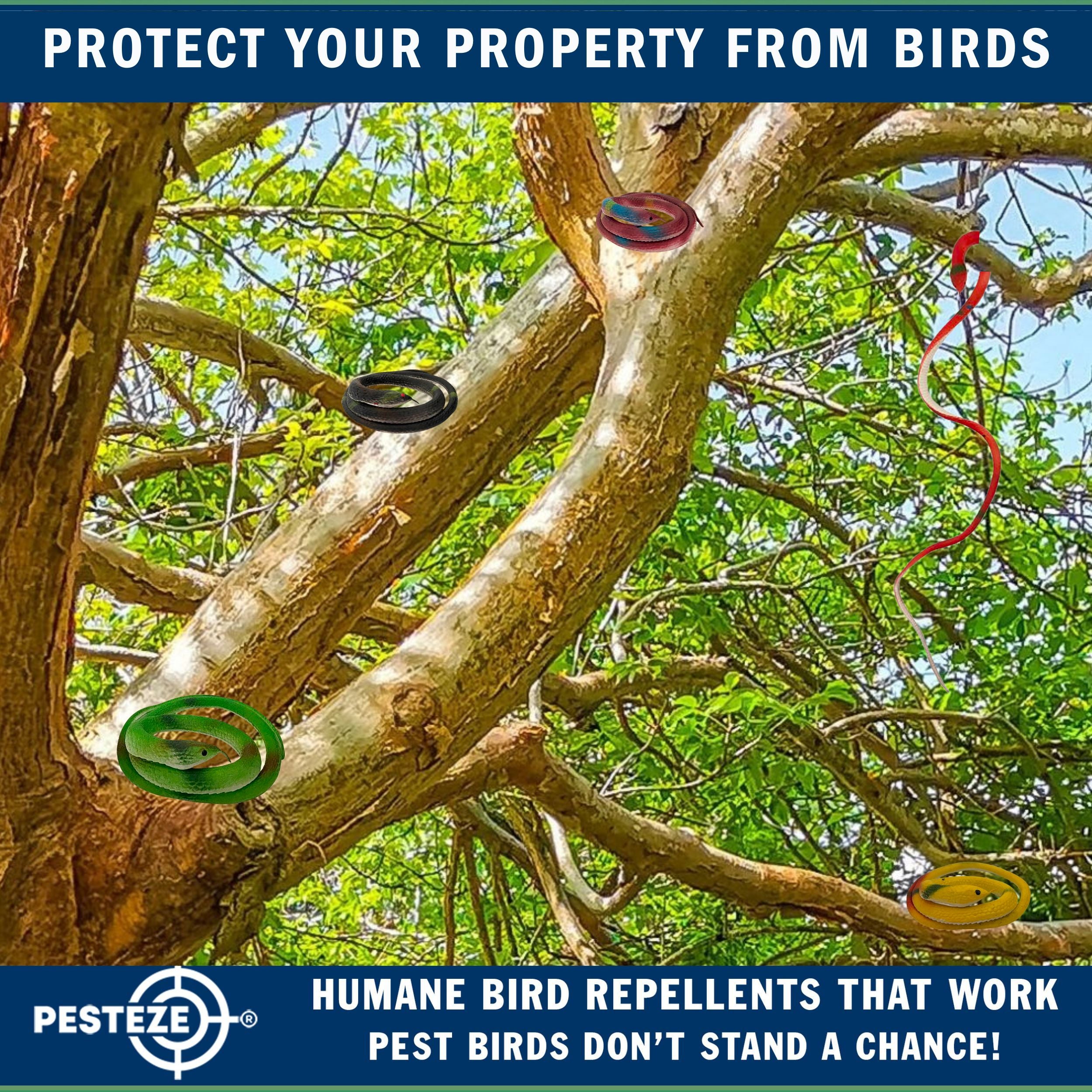 PESTEZE® Variety 27 Inch Realistic Rubber Snakes [5 Pack] Scares Pest Bids like Woodpeckers, Sparrows, Pigeons, Crows, Gulls & Critters without Harming them to Protect Property