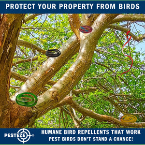 PESTEZE® Variety 27 Inch Realistic Rubber Snakes [5 Pack] Scares Pest Bids like Woodpeckers, Sparrows, Pigeons, Crows, Gulls & Critters without Harming them to Protect Property