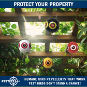 PESTEZE® USA Large 15" Black & White Bird Predator-Eye Balloon Repellents [2 Pack Multi-Color] Deters Unwanted Pest Birds like Ducks Pigeons, Gulls, Geese & Critters from Pools & Yards Without Harming them to Protect Property