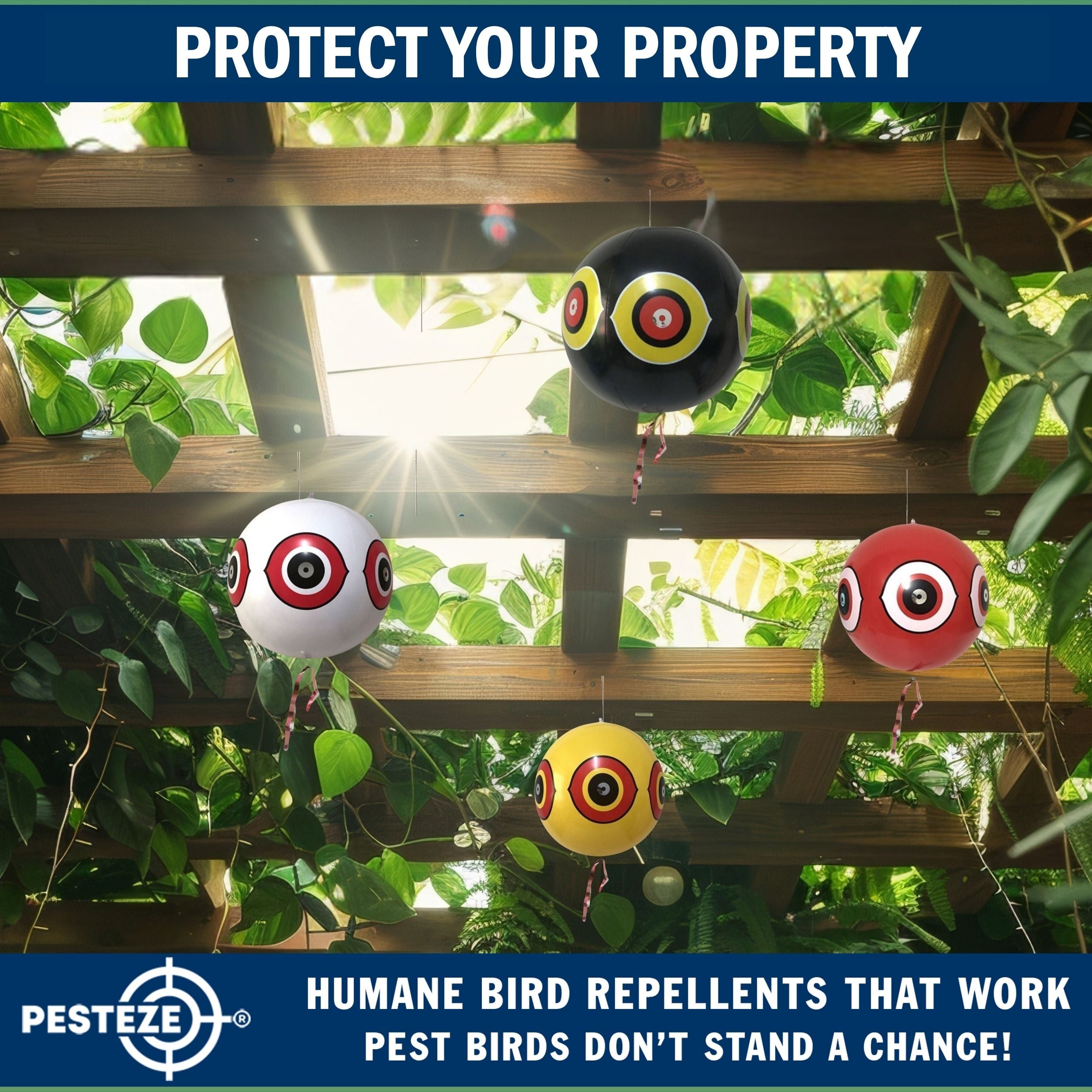PESTEZE® USA Large 15" Black & White Bird Predator-Eye Balloon Repellents [2 Pack Multi-Color] Deters Unwanted Pest Birds like Ducks Pigeons, Gulls, Geese & Critters from Pools & Yards Without Harming them to Protect Property