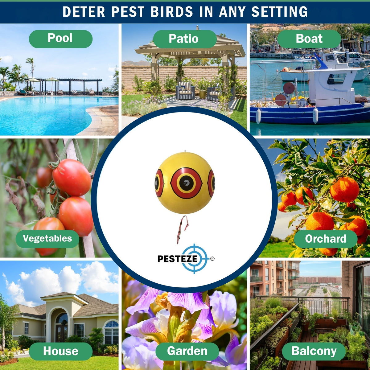PESTEZE® USA Large 15" Black & White Bird Predator-Eye Balloon Repellents [2 Pack Multi-Color] Deters Unwanted Pest Birds like Ducks Pigeons, Gulls, Geese & Critters from Pools & Yards Without Harming them to Protect Property