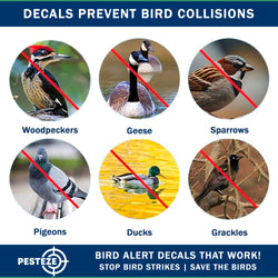 20 Pack PESTEZE® Shiny Holographic Bird Repellent Stickers [3 Inch] Reflection Scares Pest Birds like Woodpeckers, Sparrows, Pigeons, Crows, Gulls & Critters without Harming them