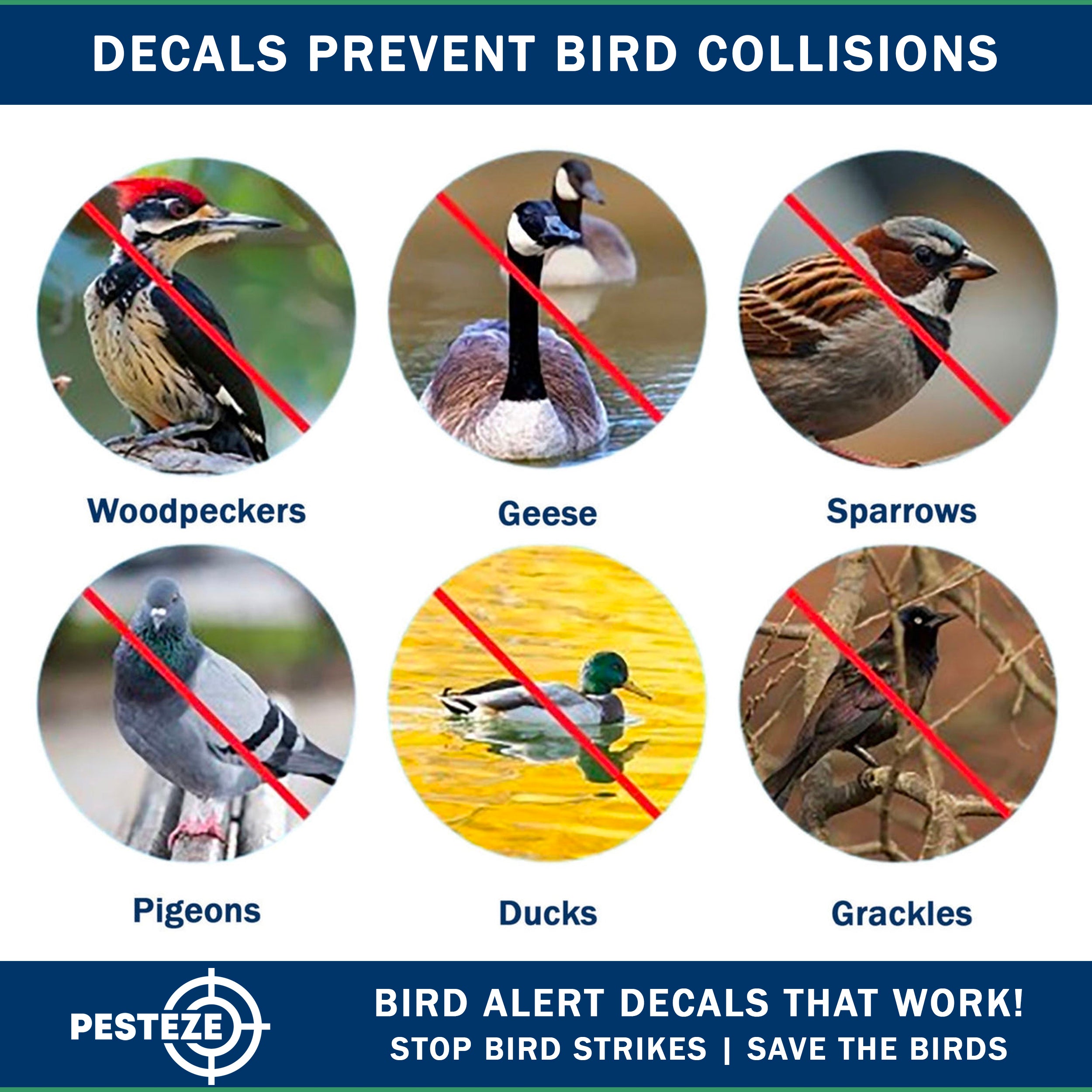 20 Pack PESTEZE® Shiny Holographic Bird Repellent Stickers [3 Inch] Reflection Scares Pest Birds like Woodpeckers, Sparrows, Pigeons, Crows, Gulls & Critters without Harming them