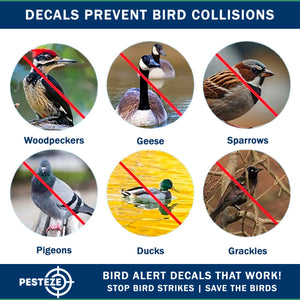 20 Pack PESTEZE® Shiny Holographic Bird Repellent Stickers [3 Inch] Reflection Scares Pest Birds like Woodpeckers, Sparrows, Pigeons, Crows, Gulls & Critters without Harming them