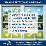 PESTEZE® USA Premium Window Bird Decals–Colorful Hummingbird Anti Collision Static Cling Stickers for Windows to Prevent Wild Birds from Strikes and Hitting Glass–38 Pack Floral Window Alert Protection