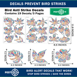 PESTEZE® Rainbow Leaf Medley Anti Strike Static Cling Decals for Windows to Prevent Wild Bird Collisions [19 Decals/3 Pages] Bird Alert Window Decals Save Birds from Window Strikes & Help them Soar