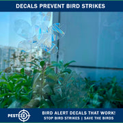 PESTEZE® USA Premium Window Bird Decals-Rainbow Leaf & Bird Anti Collision Static Cling Stickers for Windows to Prevent Wild Birds from Striking & Hitting Glass–32 Pack Sun Catcher Window Alert Clings