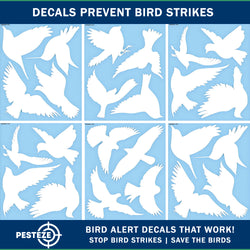 PESTEZE® UV Reflective Bird Anti Collision Static Cling Decals for Windows to Prevent Wild Bird Strikes [16 Decals/4 Pages] Bird Alert Window Decals Save Birds from Window Collisions & Help them Soar